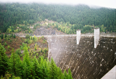 [View from atop the dam at one end looking at the curve of concrete which appears to have a brown coating. A few concrete support pillars rise above the curve. The hillside both near and far are covered in evergreens some of which are obscured by low-handing fog.]